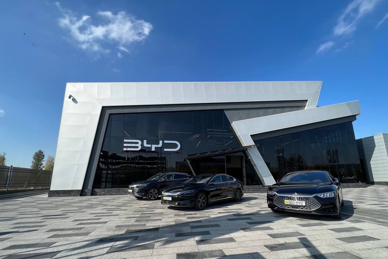 BYD avtomobillarining importi cheklanishi mumkin!